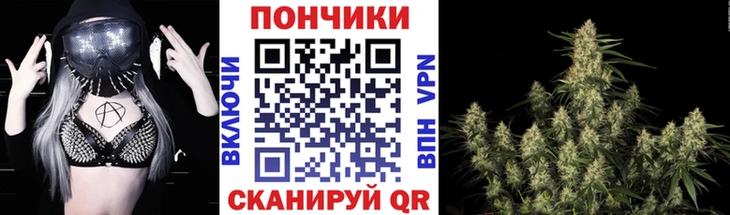 закладки  Саянск  Бошки Шишки семена 